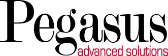 Pegasus Advanced Solutions LLC